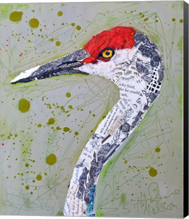 Framed Red Head Heron Print