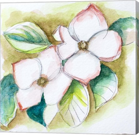 Framed Watercolor Dogwood Print