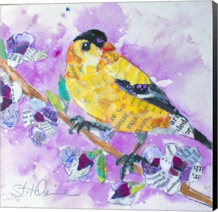 Framed Pinch of Gold Finch 2 Print