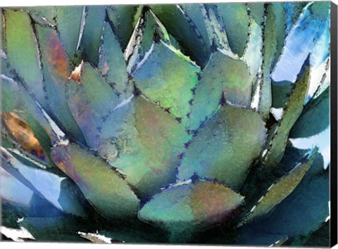 Framed Agave Print