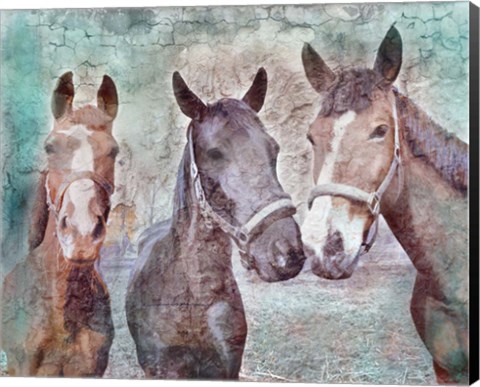 Framed 3 horses Print