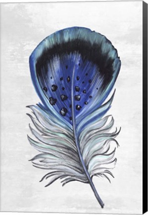 Framed Indigo Feather III Print