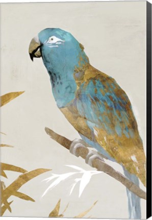 Framed Blue Parrot II Print