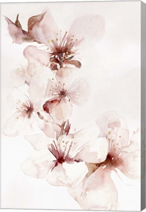 Framed Watercolor Blossoms II Print