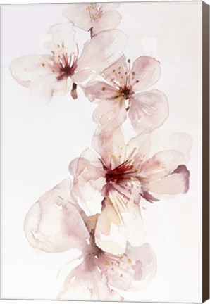 Framed Watercolor Blossoms III Print