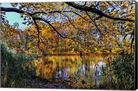 Framed Clove Lakes Park in Autumn A Print