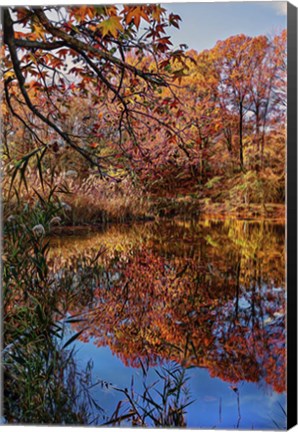 Framed Clove Lakes Park in Autumn B Print