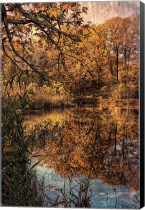 Framed Clove Lakes Park in Autumn C Print