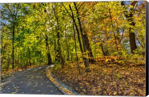 Framed Clove Lakes Park in Autumn D Print