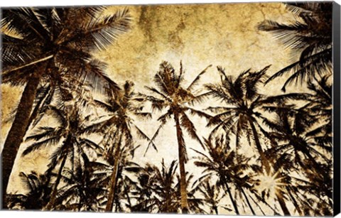 Framed Coconut Palms Print