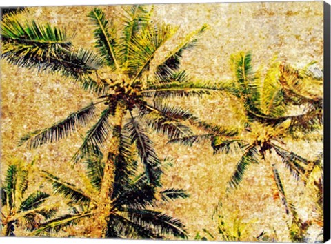 Framed Palms 1 Print