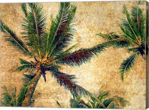 Framed Palms 3 Print