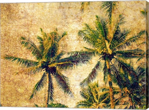 Framed Palms 4 Print