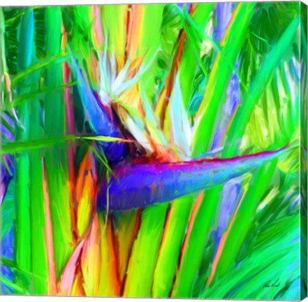 Framed Bird of Paradise 1 Print