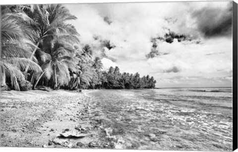 Framed Tropical Beach D Print