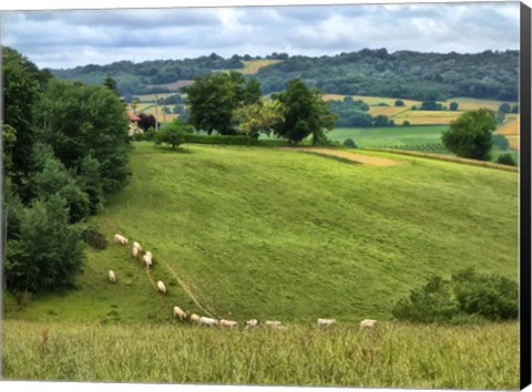 Framed Pastoral Countryside V Print