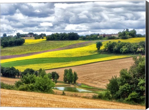 Framed Pastoral Countryside VIII Print