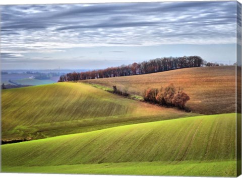 Framed Pastoral Countryside XX Print