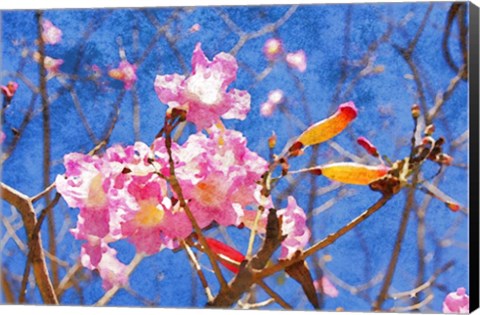 Framed Elegant Blossom II Print