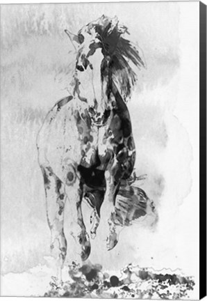 Framed Wild Running Horse 3 Print