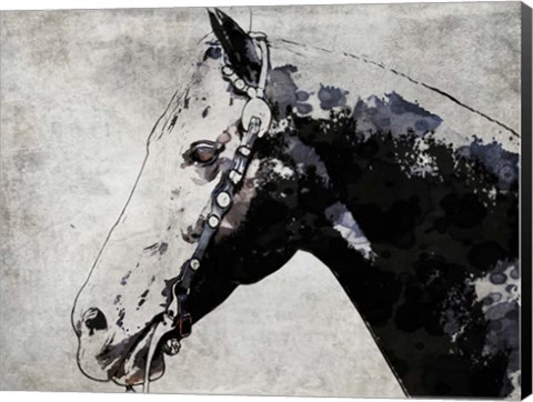 Framed Black Ghost Horse Print