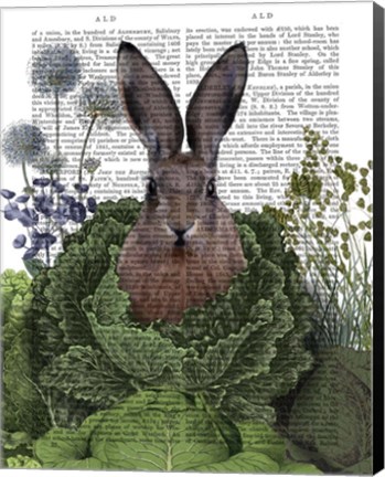 Framed Cabbage Patch Rabbit 1 Print