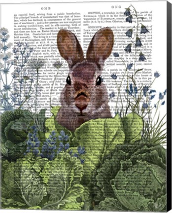 Framed Cabbage Patch Rabbit 6 Print