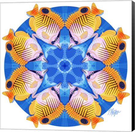 Framed Butterfly Fish Scallop Mandala Print