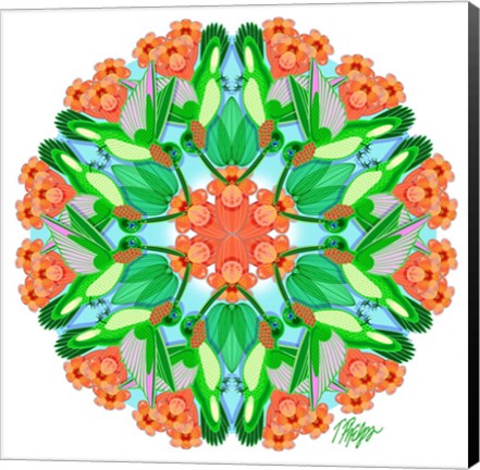 Framed Hummingbird Vine Mandala Print