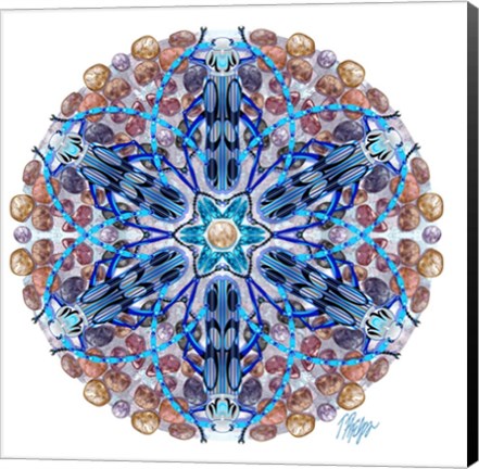 Framed Blue Longhorn Beetle Rock Mandala Print