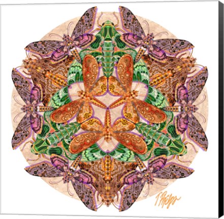 Framed Metatron Circle Sphinx Moth Mandala Print