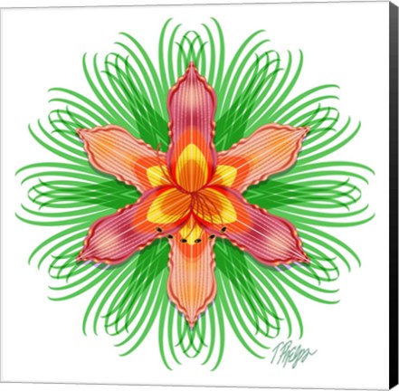 Framed Orange Day Lily Bloom Mandala Print