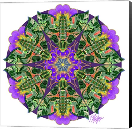 Framed Purple Petunia Sphinx Moth Mandala Print