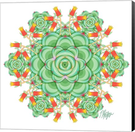 Framed Succulent Cactus Mandala Print