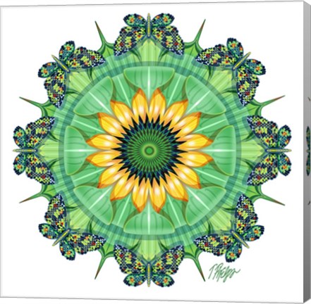 Framed Sunflower Bloom Butterfly Mandala Print