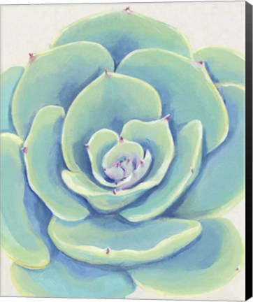 Framed Pastel Succulent IV Print