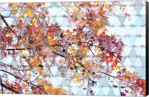 Framed Autumn Leaves 2 Print