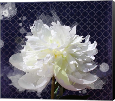 Framed White Peony-Scents of Heaven 2 Print