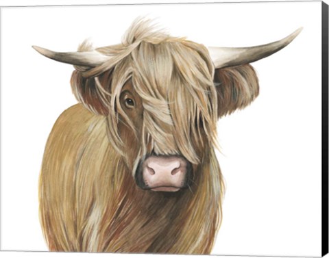 Framed Highland Cattle I Print