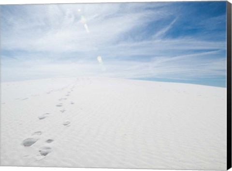 Framed White Dunes I Print