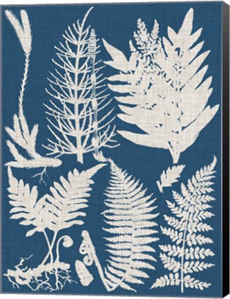 Framed Linen &amp; Blue Ferns II Print