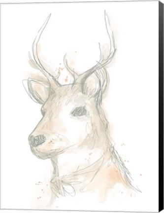 Framed Deer Cameo III Print