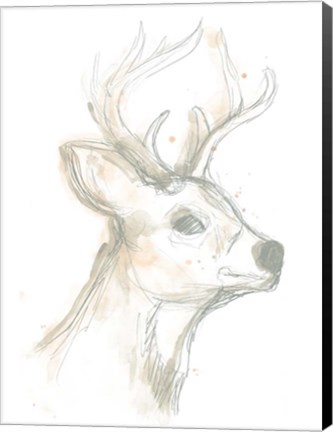 Framed Deer Cameo IV Print