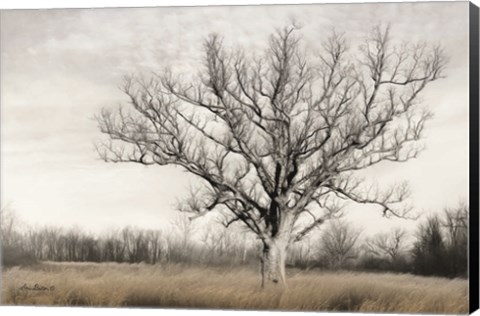 Framed Earth &amp; Sky Print