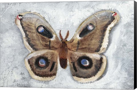 Framed Papillon de Nuit II Print