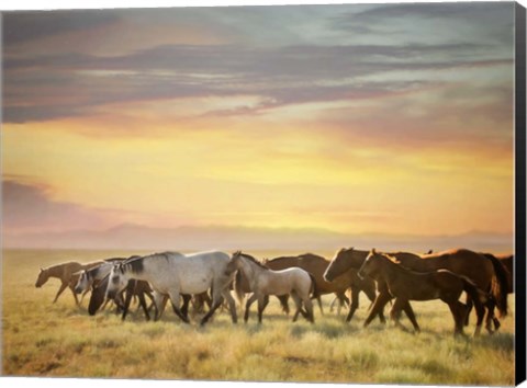 Framed Sunkissed Horses I Print