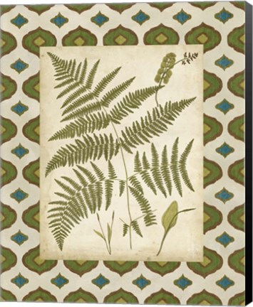 Framed Moroccan Ferns IV Print