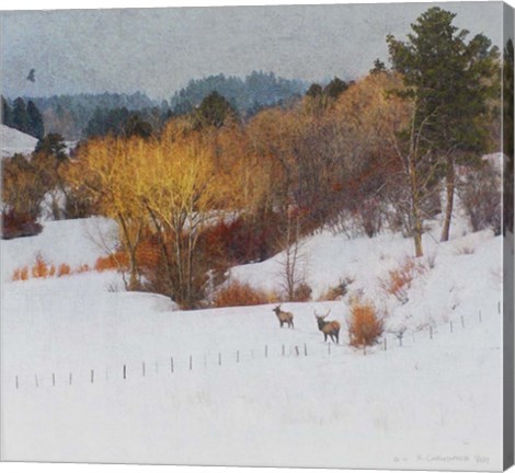 Framed Snowy Creek Elk Print