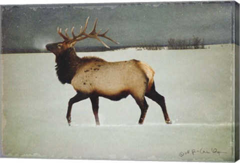 Framed Silver Mist Elk Print