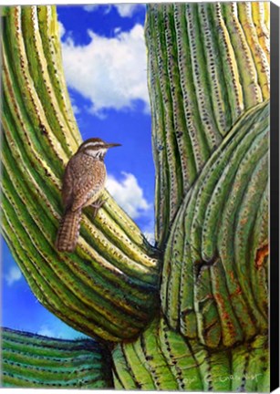 Framed Cactus Wren Print